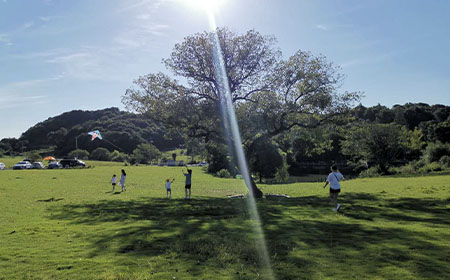 金石包裝（嘉興）有限公司地下水、土壤檢測報(bào)告公示